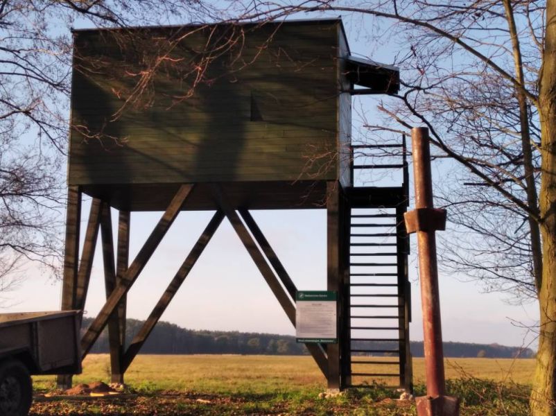 uslugi-ciesielskie-realizacja-bytnica (1).jpg